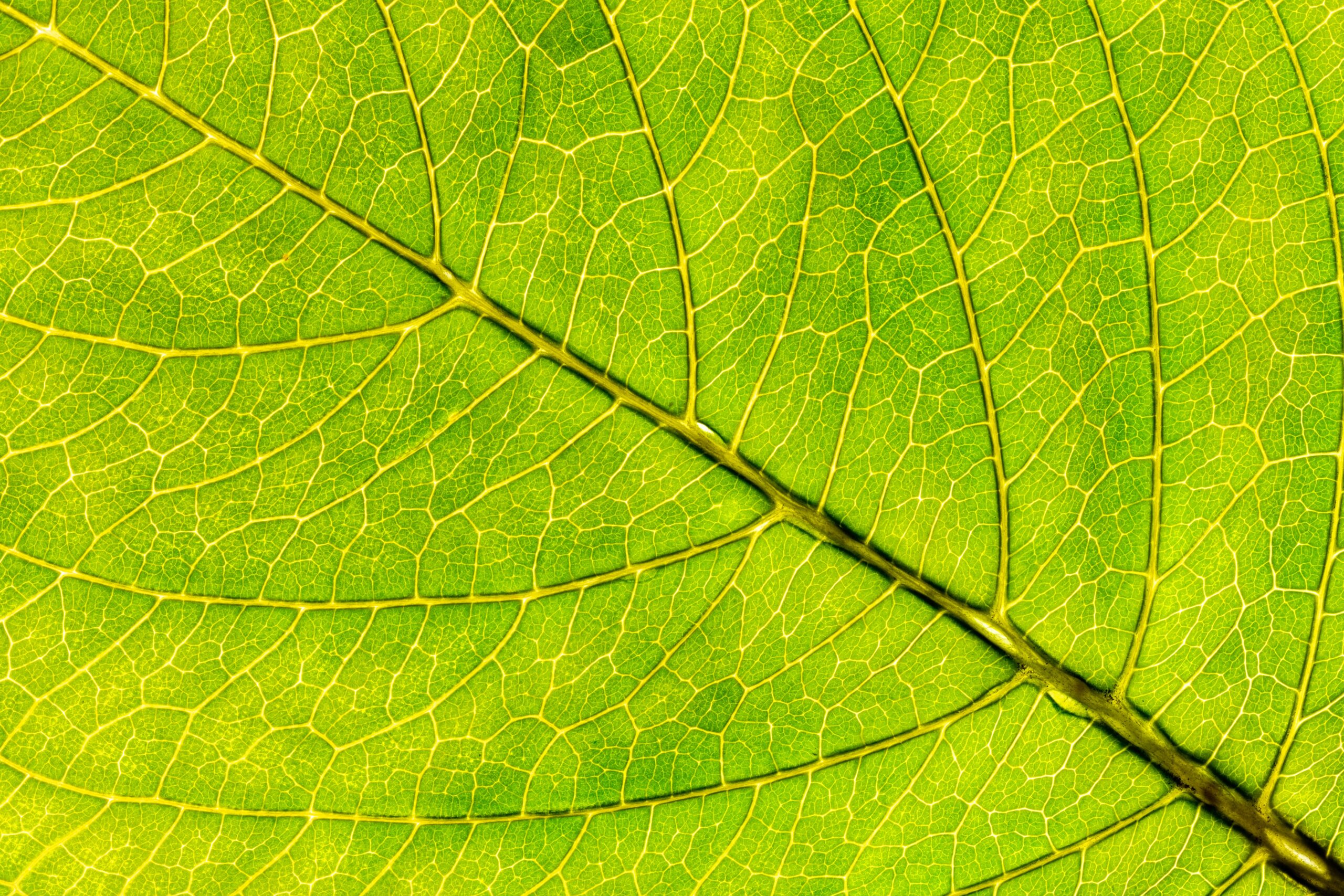 Cultivating solutions, harvesting the future.
