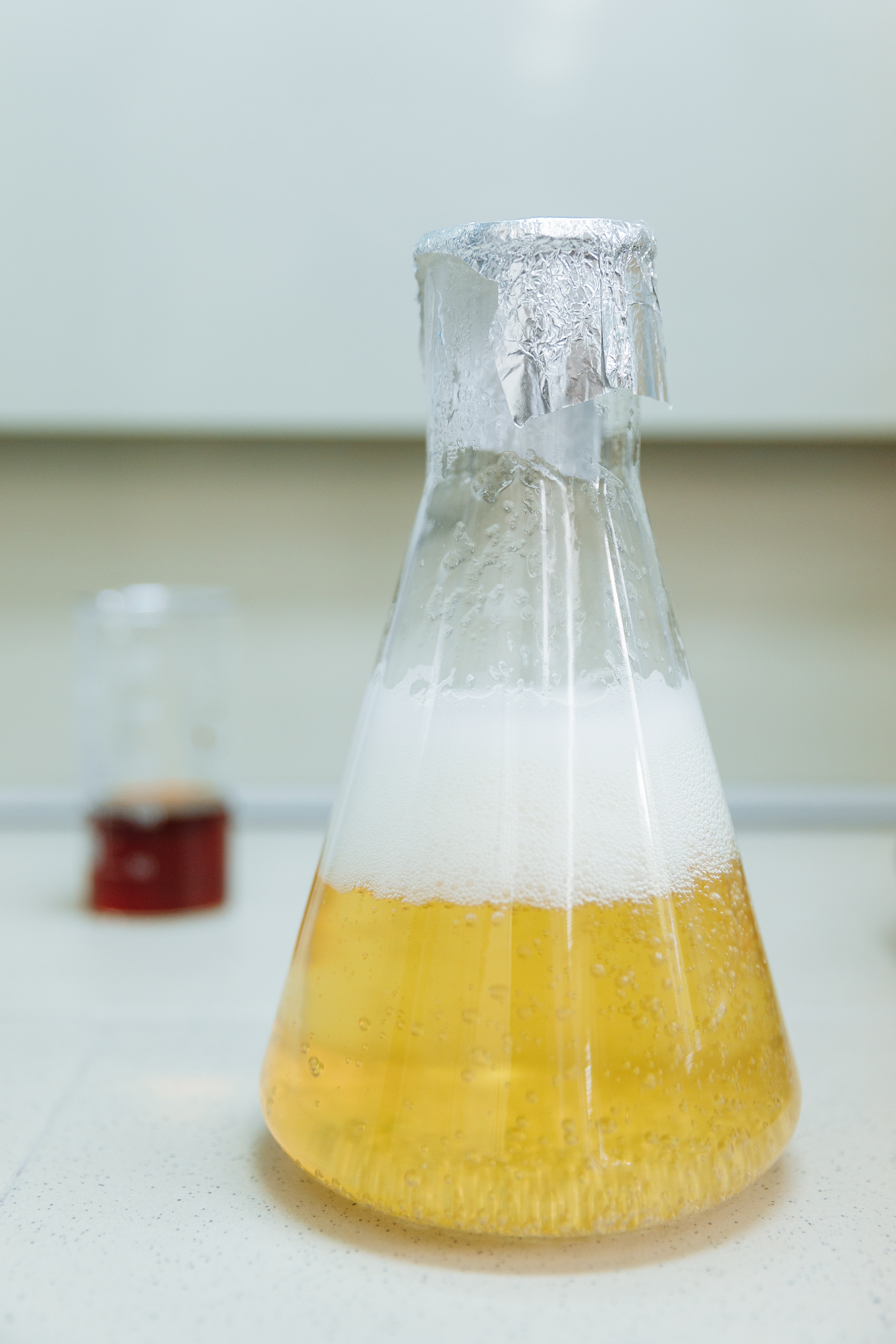 BioGreenField: Methop for developing products